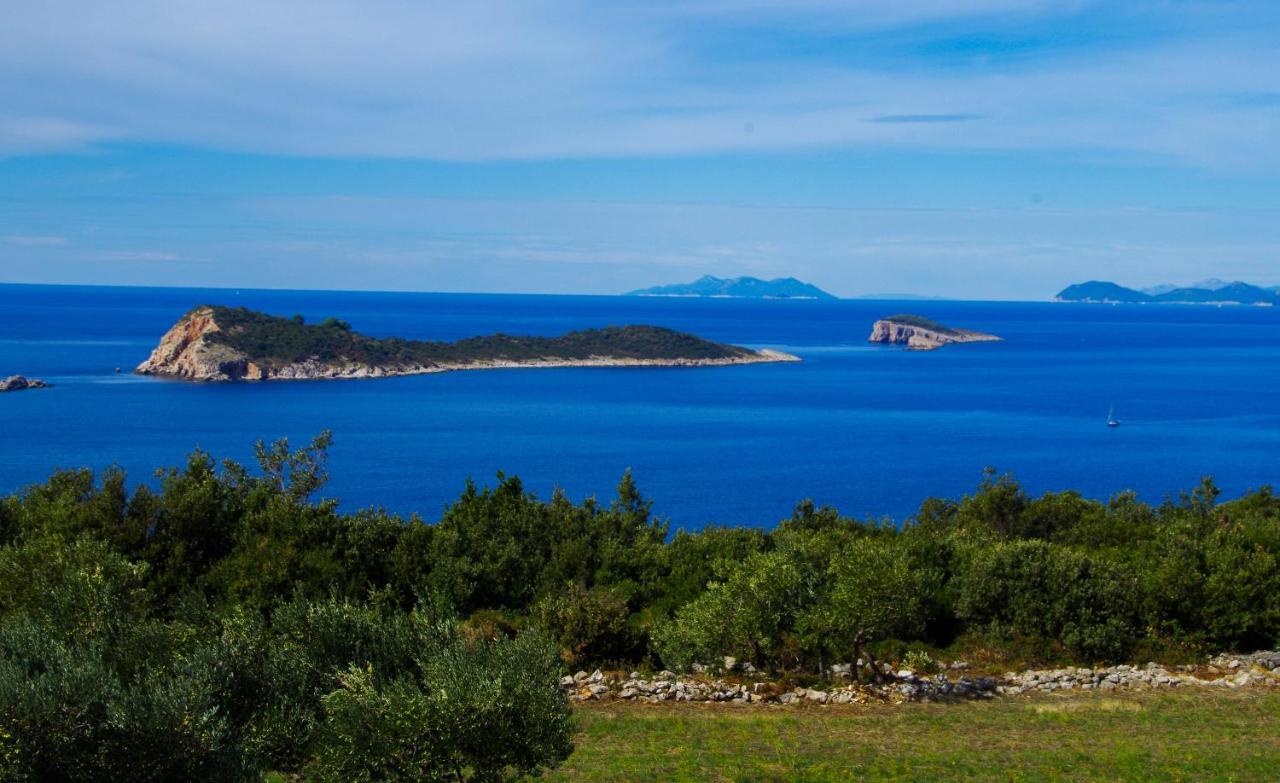 Sandra Apartments Konavle 외부 사진